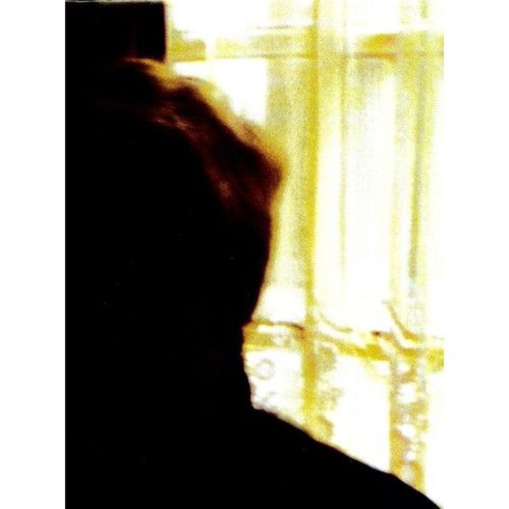 The Palace Brothers - Days In the Wake  LP LP